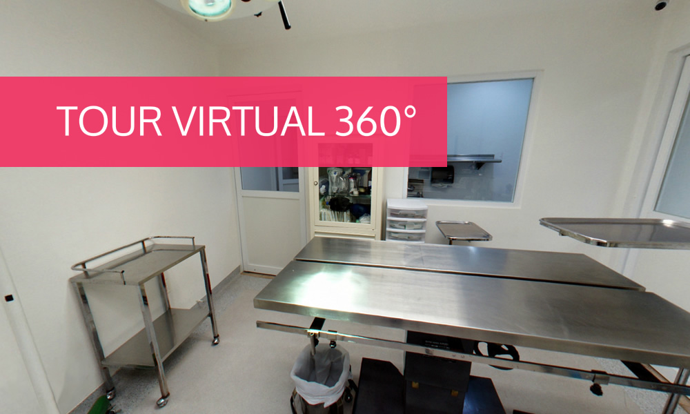 Tour Virtual 360° de nuestras instalaciones de clinica y hospital veterinario