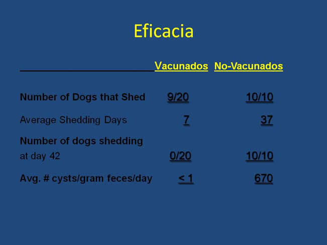 Inmunizacin en perros y gatos