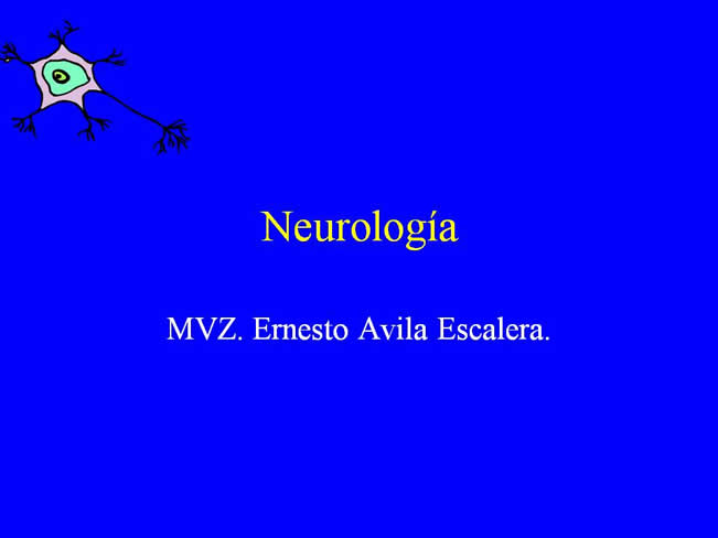 Neurologa