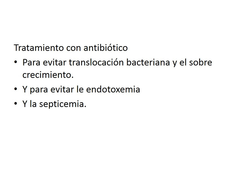 Obstruccin intestinal