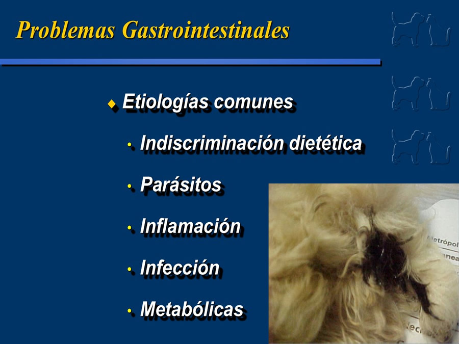 Algunos casos de trastornos gastroentericos