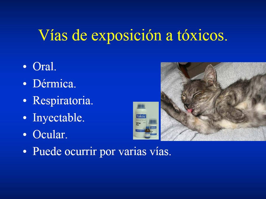 Urgencias Toxicolgicas Veterinarias