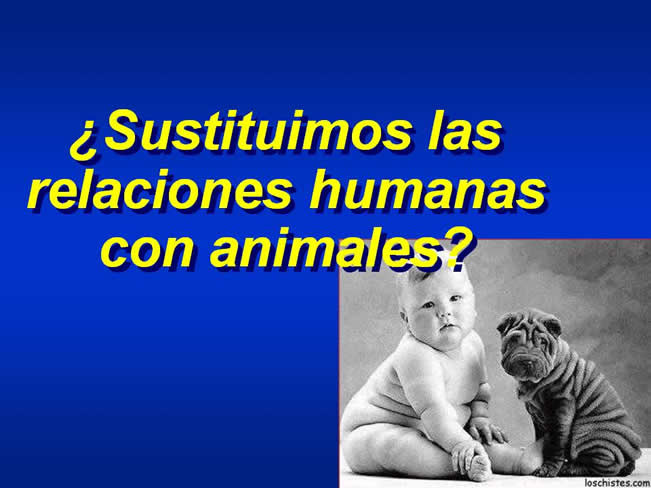 Interaccin Humano-Animal