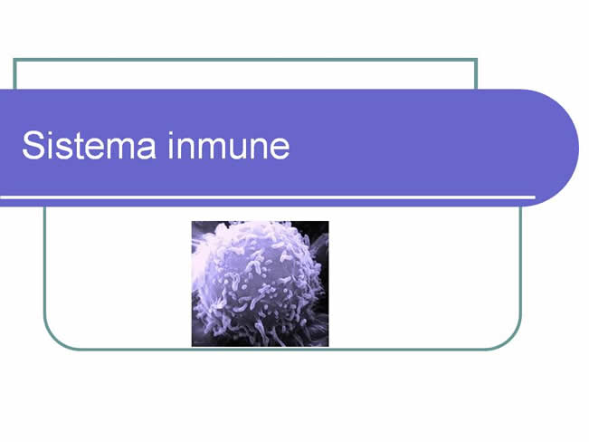 Sistema inmune