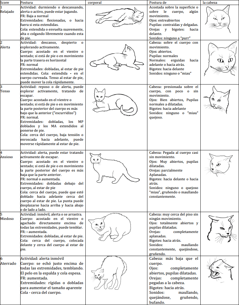 Clínica Veterinaria del Bosque, Mascota, Artículos