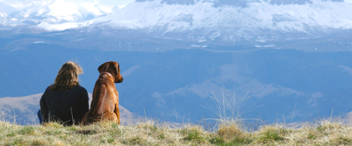 El  perro domestico y su relacin con el ser humano