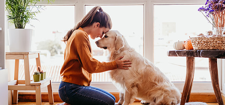La mejor raza de perros para dueños de primera vez