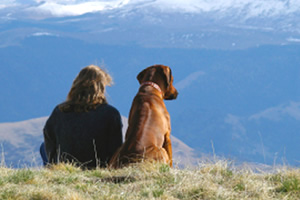 El perro domestico y su relacin con el ser humano