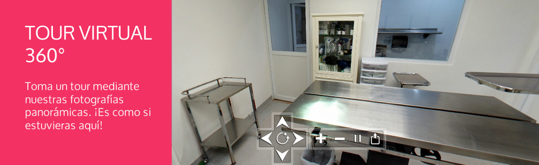 Tour Virtual 360Â° de nuestras instalaciones de clinica y hospital veterinario