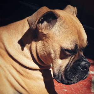 Marzo: Bonny