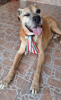 Abril: Leo