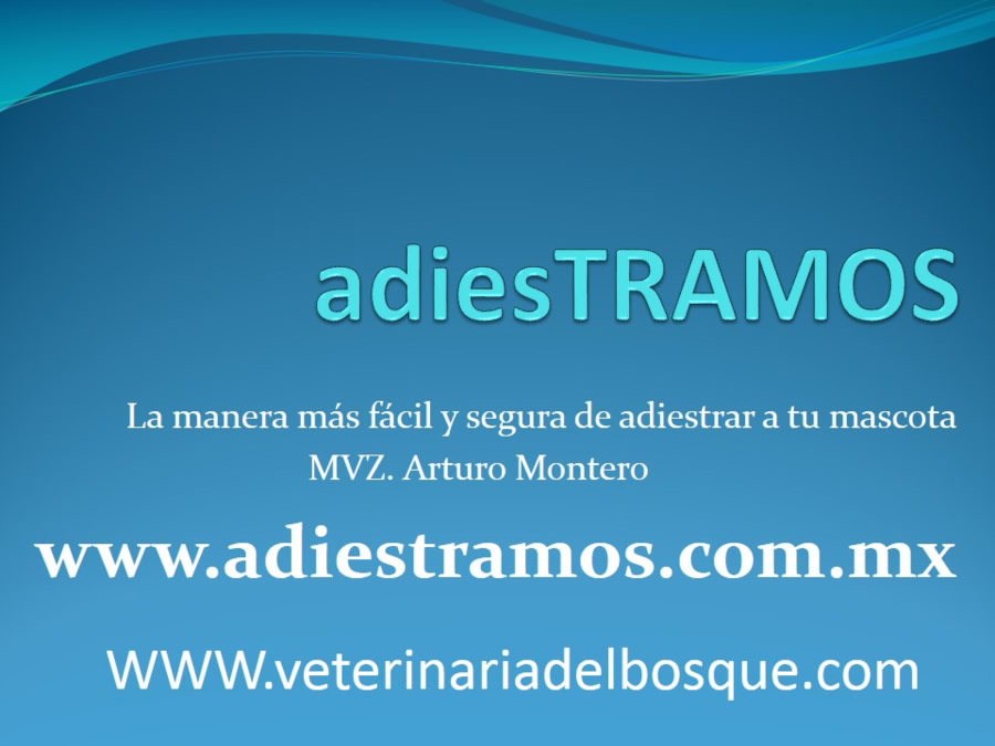 Adiestramiento y obediencia