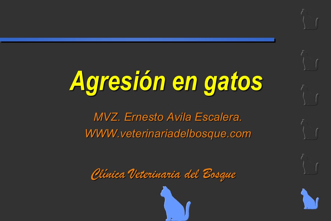 Agresin en gatos