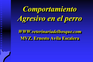 Agresin en perros