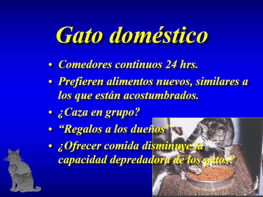 Comportamiento alimentario en perros y gatos