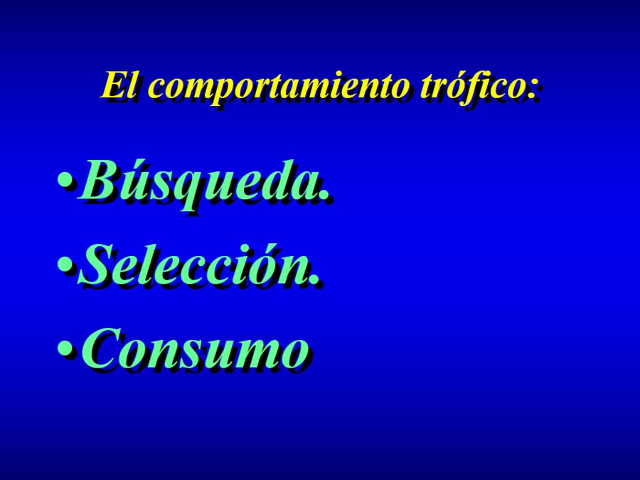 Comportamiento alimentario en perros y gatos