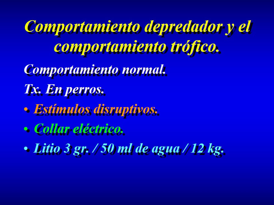 Comportamiento alimentario en perros y gatos