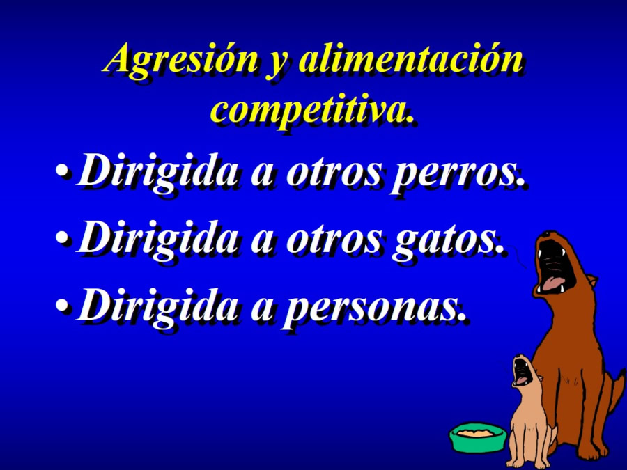 Comportamiento alimentario en perros y gatos