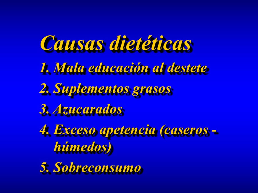 Comportamiento alimentario en perros y gatos