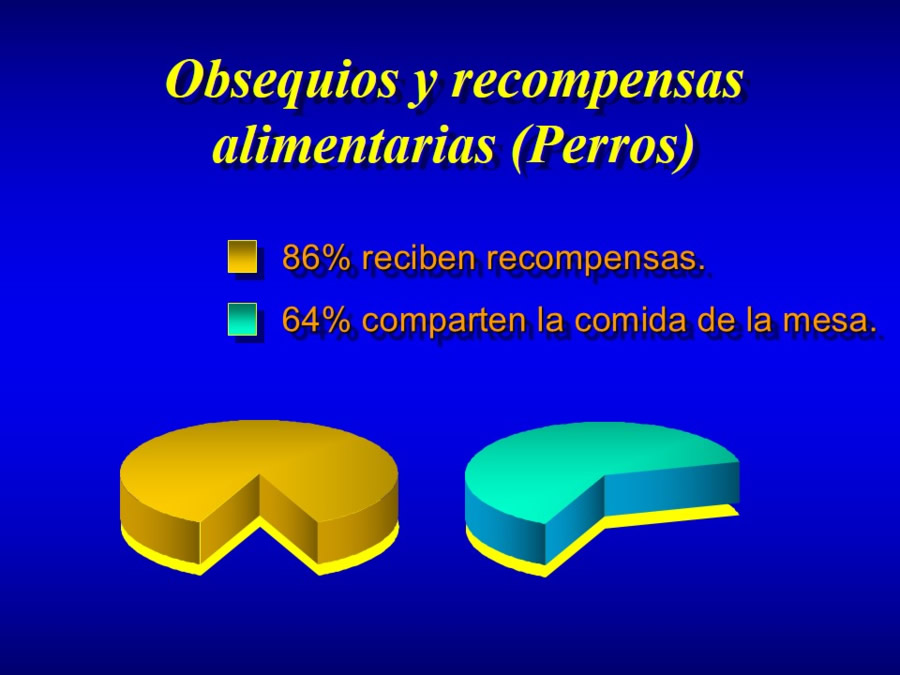 Comportamiento alimentario en perros y gatos