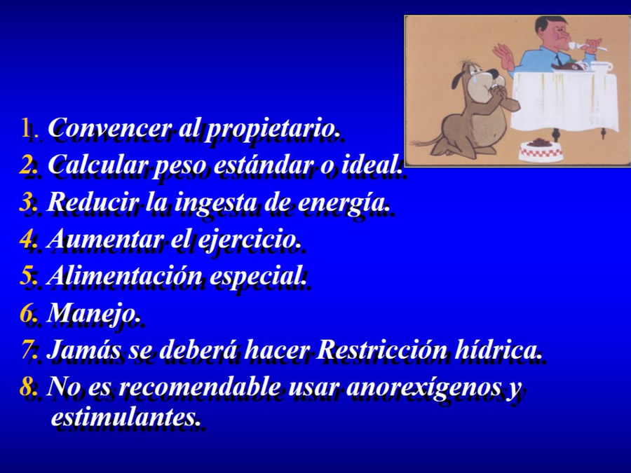 Comportamiento alimentario en perros y gatos