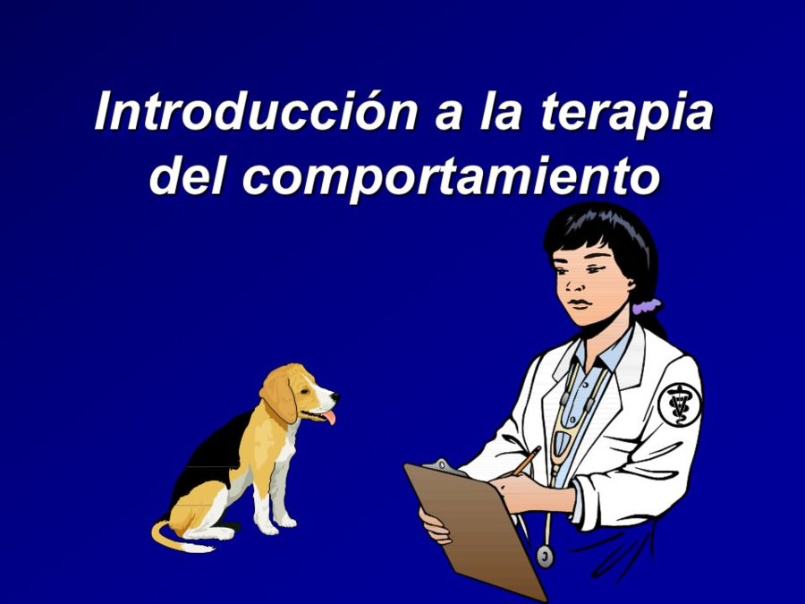 Introduccin al comportamiento canino