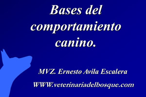 Bases del comportamiento canino