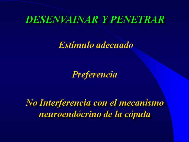 Comportamiento sexual y maternal en el perro