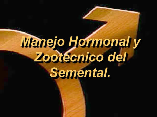 Comportamiento sexual y maternal en el perro