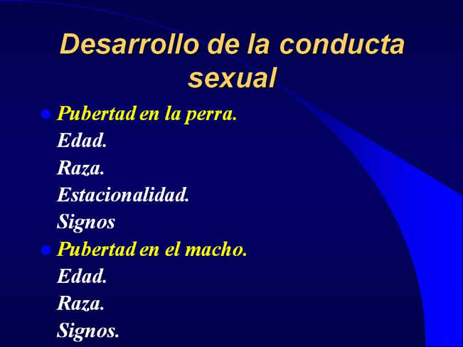 Comportamiento sexual y maternal en el perro