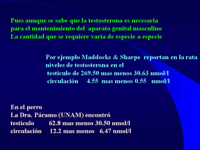 Comportamiento sexual y maternal en el perro