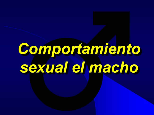 Comportamiento sexual y maternal en el perro