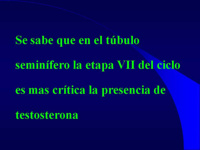 Comportamiento sexual y maternal en el perro