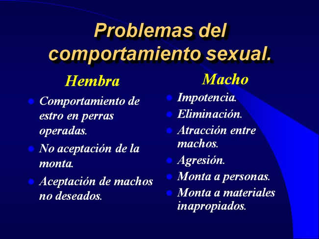 Comportamiento sexual y maternal en el perro