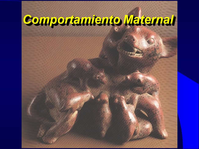 Comportamiento sexual y maternal en el perro