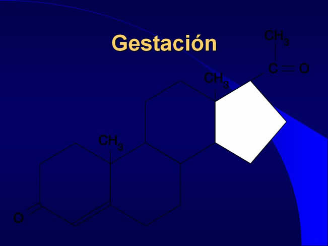 Comportamiento sexual y maternal en el perro