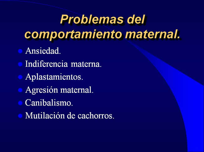 Comportamiento sexual y maternal en el perro