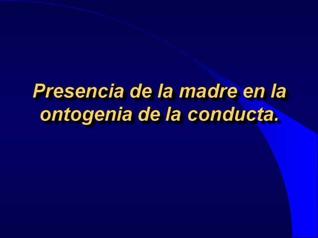 Comportamiento sexual y maternal en el perro