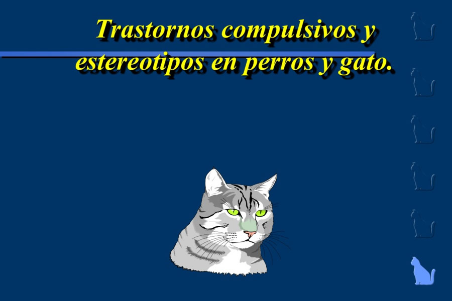 Conducta en gatos