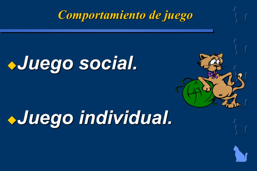 Conducta en gatos