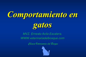 Comportamiento en gatos