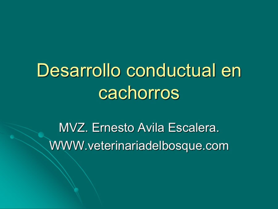 Desarrollo conductual en cachorros