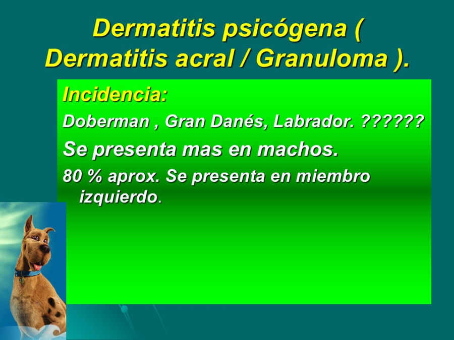 Desarrollo conductual en cachorros