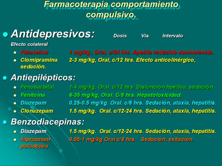 Desarrollo conductual en cachorros