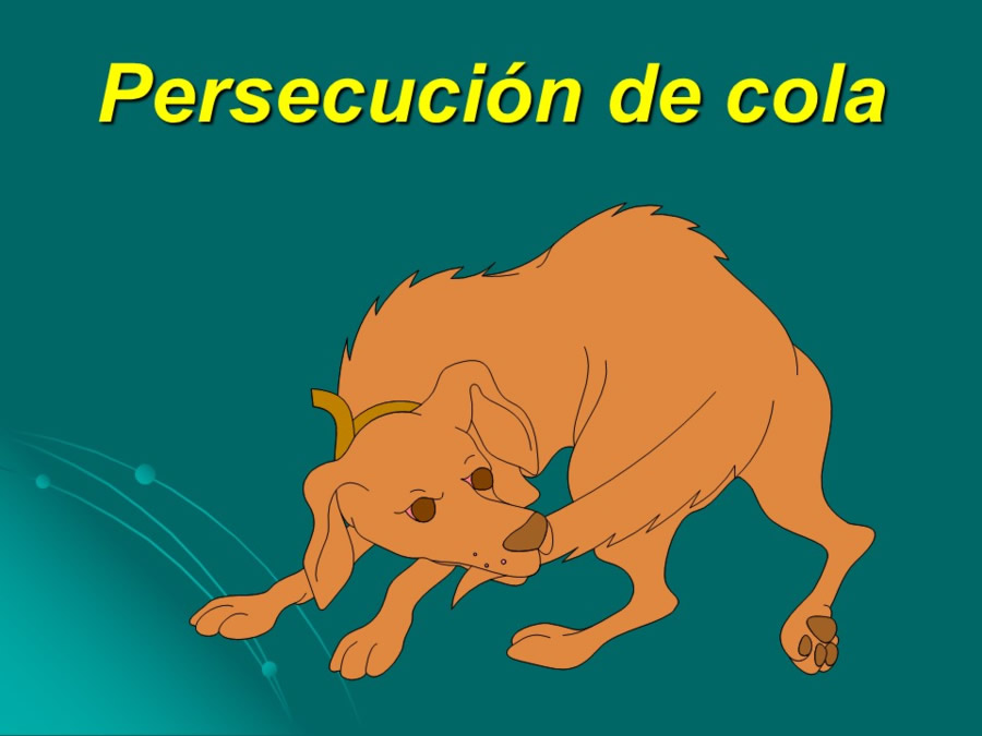 Desarrollo conductual en cachorros