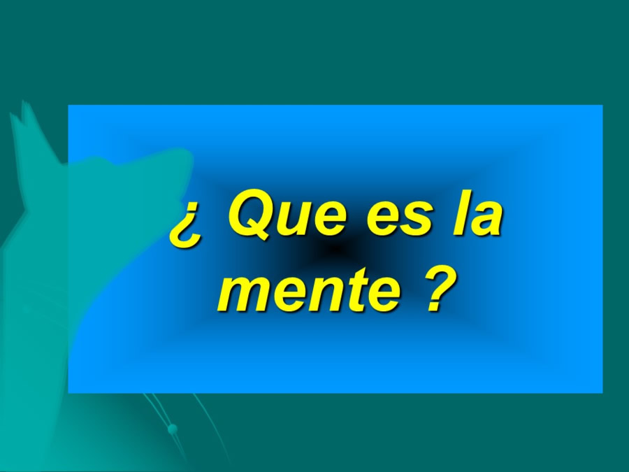 Desarrollo conductual en cachorros