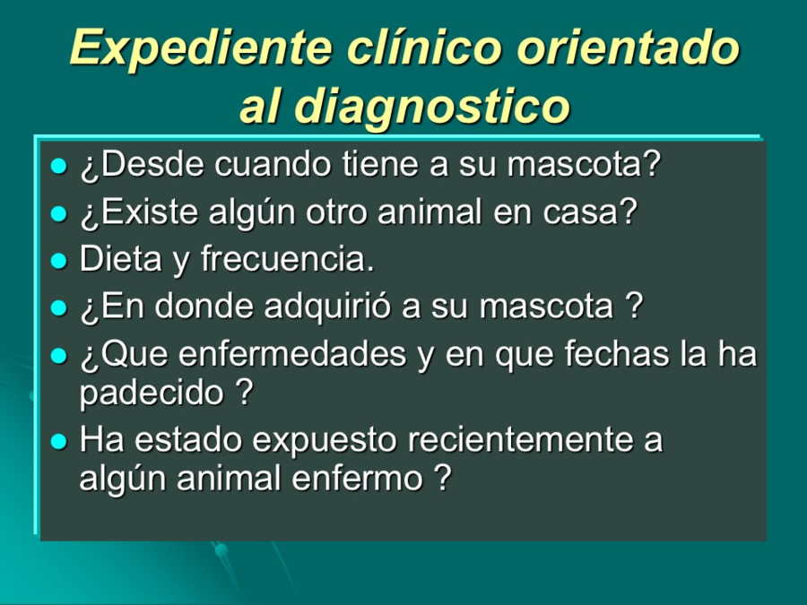 Desarrollo conductual en cachorros