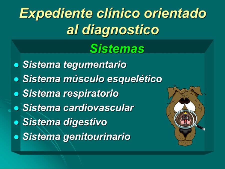 Desarrollo conductual en cachorros