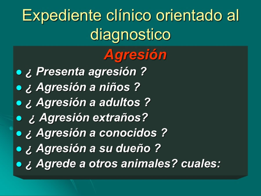 Desarrollo conductual en cachorros