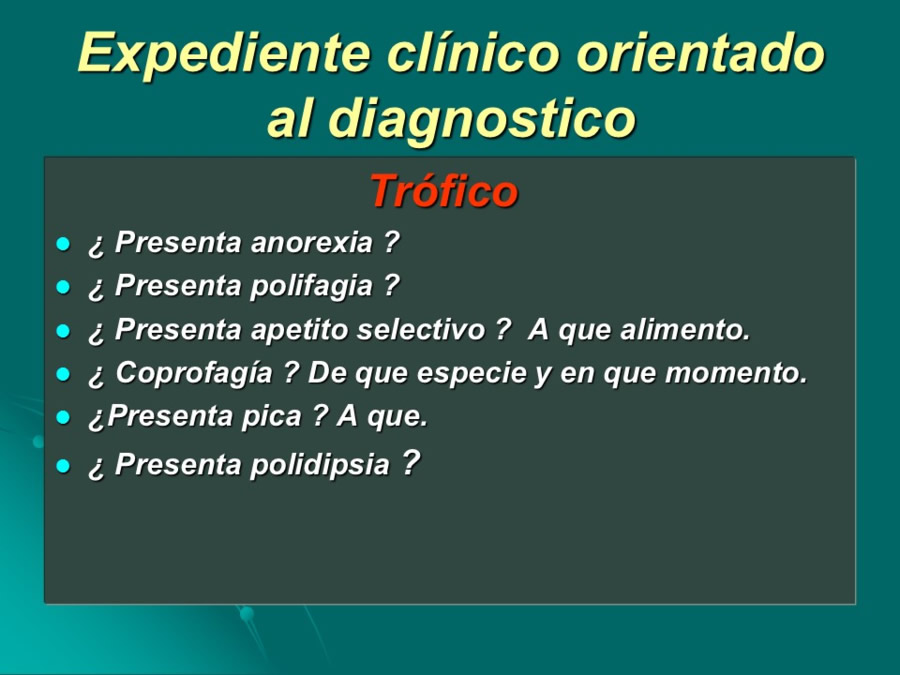 Desarrollo conductual en cachorros